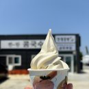 월도리684