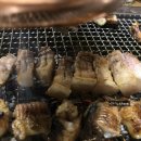 대머리장어 이미지