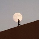 대지-생명 | 하늘을 나는 것은 결국 사람이다 | 생텍쥐페리 인간의 대지 독후감 삶의 의미 고전 문학 추천 #42