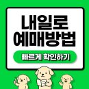 2025 KTX 내일로 예매 총정리 | 예매방법, 좌석 서택 꿀팁, 주의사항까지