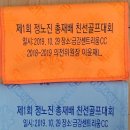금강나염