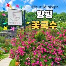국수꽃 - 전주시 완산구 기린대로 222 | 양평 꽃국수 맛집 추천｜꽃고기국수와 비빔국수 모두 맛있었던 재방문 후기