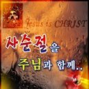 ＜사순절 설교 시리즈 설교 5. "사순절을 맞는 성도의 삶"＞ 이미지