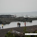 경자농장 이미지