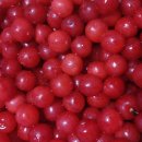 오늘은 회 이미지