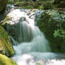 치유의숲 이미지