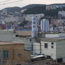오동탕