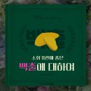 법인소화푸드