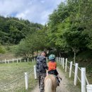 은호목장 이미지