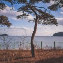 덕적고등학교 이미지