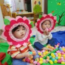 꽃뿐이네 이미지