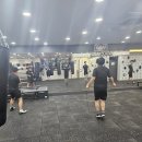 슈가복싱 이미지