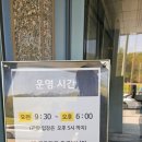 넬슨신 애니메이션아트 박물관 | 넬슨 신 애니메이션 아트 박물관 후기