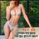 애플바디점핑