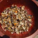 고사리민박 이미지