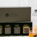 아르니아(ARNIA)