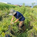 농부의아침영농조합법인 이미지