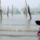 청정바다 이미지