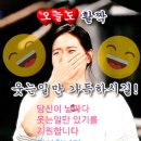 나이별 풍자모음 이미지