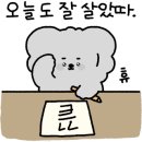 생선장수충북 이미지