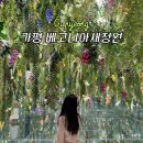 가평 베고니아새정원 플라워존 버드존 미디어존 비오는날 방문후기