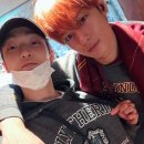 계절의기억 이미지