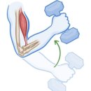 PT특별관 이미지