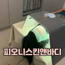피오니스킨앤바디