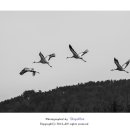 대위리-양지리 이미지