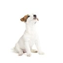 압구정웰동물병원 이미지