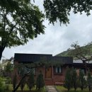 숲속에 온듯한 [춘천감성숙소] 포레스트구봉 객실01 숙박 후기::유리온실 예약,조식브런치