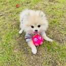 폴리파크동탄 - 화성시 동탄산척로2가길 10-2 | 폴리파크동탄
