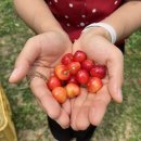 동민농장 이미지