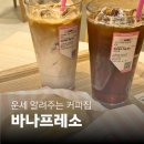 광화문역(5) | [광화문 카페] 직장인 주목! 핑크빛 힐링 스팟 바나프레소 광화문역점 방문 후기