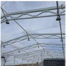 코리아 스포츠센터 이미지