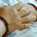 제주대학교병원 이미지