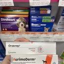 경주 동물 약국 이미지