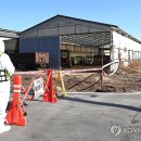 임순석 농장 이미지