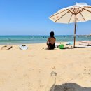 77번가 | [양양/현남읍] 버팔로윙과 감튀 파스타 죽도해변 코스터 비스트로 식당 테이크아웃 - 해변에서의 꿀맛...