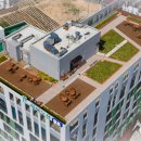 하이오션경포 이미지