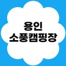한국오토 | ⛺용인 소풍캠핑장 완벽 가이드│배치도·예약방법·이용요금·오토·글램핑·카라반 총정리