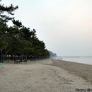 율포해수욕장 이미지