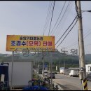 풍동농장 티스토리
