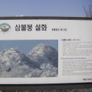 2015년2월8일(일)공주 계룡산 정기산행안내~ 이미지