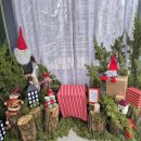 이수미팜베리 이미지