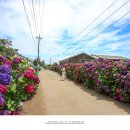 안성리-9 이미지