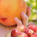 고신농장 이미지