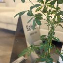 헤이미쉬 | 대전메이크업 헤이미쉬 증명사진 메이크업 후기! 대만족!!