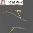 유샘외과의원 이미지