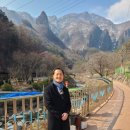 신기면행정복지센터 이미지